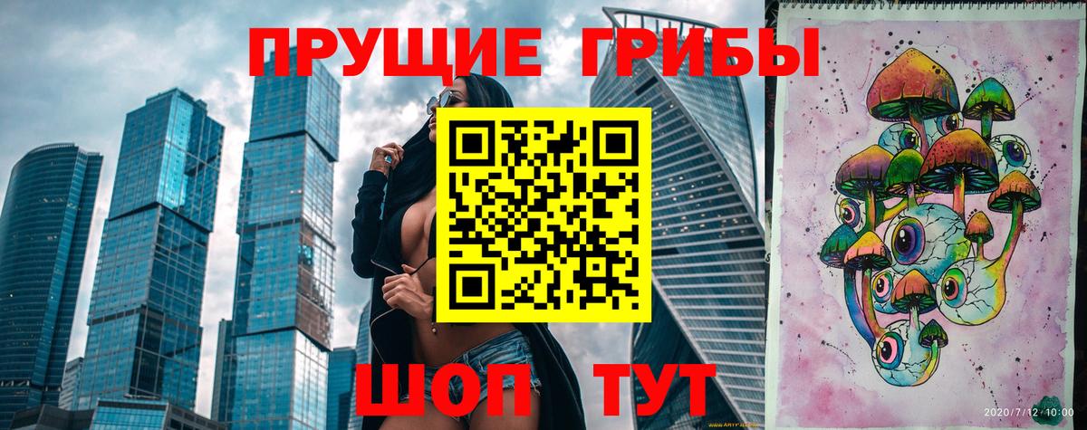Зеленогорск  Псилоцибиновые грибы прущие грибы  Вход с VPN 